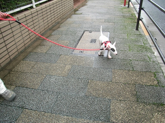R0011885.JPG