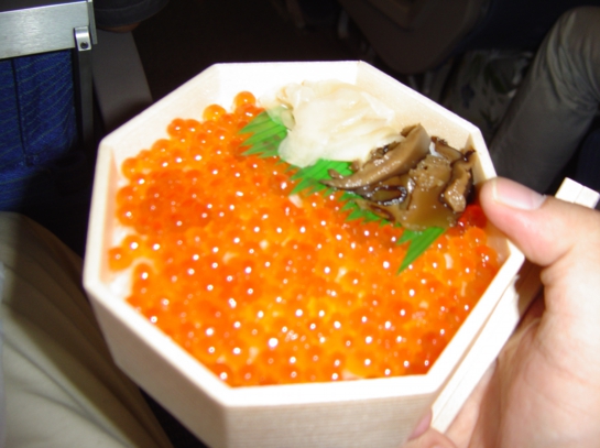 Hokkaido4-04.JPG